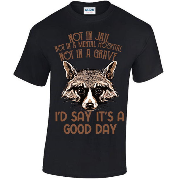 Not In Jail, Not In A Mental Hospital, Not In A Gave, I'd Say It's A Good Day T-shirt