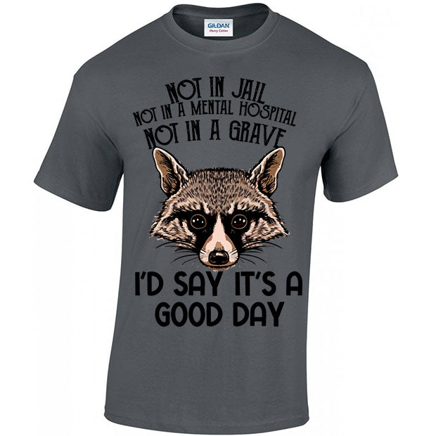 Not In Jail, Not In A Mental Hospital, Not In A Gave, I'd Say It's A Good Day T-shirt