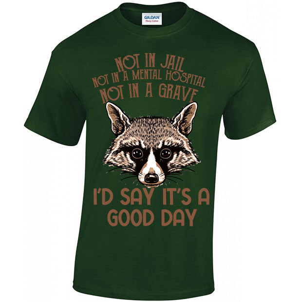 Not In Jail, Not In A Mental Hospital, Not In A Gave, I'd Say It's A Good Day T-shirt