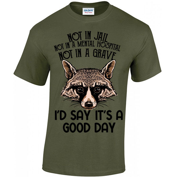 Not In Jail, Not In A Mental Hospital, Not In A Gave, I'd Say It's A Good Day T-shirt