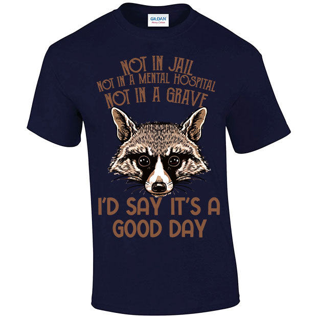 Not In Jail, Not In A Mental Hospital, Not In A Gave, I'd Say It's A Good Day T-shirt