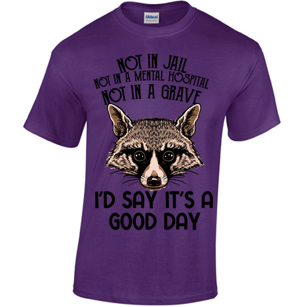 Not In Jail, Not In A Mental Hospital, Not In A Gave, I'd Say It's A Good Day T-shirt