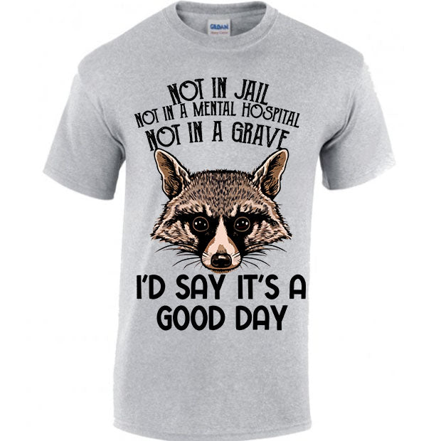 Not In Jail, Not In A Mental Hospital, Not In A Gave, I'd Say It's A Good Day T-shirt