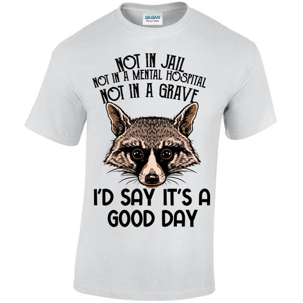 Not In Jail, Not In A Mental Hospital, Not In A Gave, I'd Say It's A Good Day T-shirt
