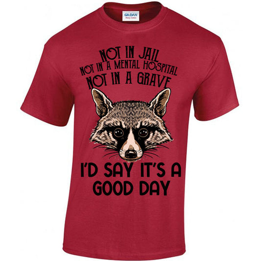 Not In Jail, Not In A Mental Hospital, Not In A Gave, I'd Say It's A Good Day T-shirt